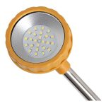 Shell Lumi Prawn Light Orange - Image 4
