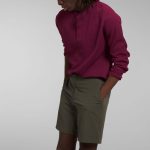 The North Face Men's Paramount Shorts Taupe Green - Image 3