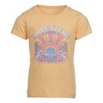 Trip In A Van Kids Adventure Tee Honey