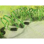 Wilson Little Captain 4ft Cast Net Green 4 ft - Image 3