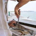 Gerber Ceviche Fillet Knife Green - Image 6