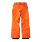 O'Neill Youth Boy's Anvil Snow Pants Orange - Image 4