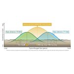 Minelab Gold Monster 1000 Dual 5” & 10”x 6” Coils Metal Detector - Image 3