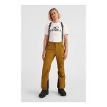 O'Neill Men's Chute Snow Pants Plantation