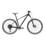 Fluid Daytona+ 29er Mountain Bike Black