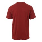 Gondwana Men's Desert Tee Rust - Image 5