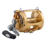 Penn International 80 VISW Overhead Reel Gold
