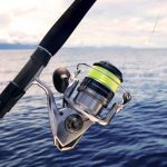 Shimano Saragosa SW A 14000 XG Spin Reel - Image 5