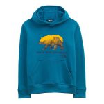 The North Face Boys' Camp Fleece Pullover Hoodie Banff Blue