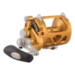 Penn International 30 VISW Overhead Reel Gold