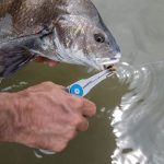 Gerber Hemoplier Hybrid Pliers Blue - Image 2