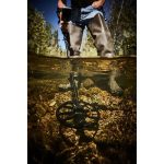 Minelab Equinox 800 Metal Detector - Image 6