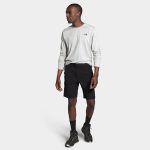 The North Face Men's Paramount Trail Shorts Black