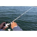 Abu Garcia Max Pro 5600H LP Baitcast Combo - Image 3