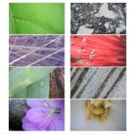 BEAVERLAB Smart Digital Microscope Kit White - Image 15