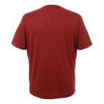 Gondwana Men's Desert Tee Rust - Image 2