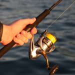 Shimano Sedona XT 12' 3pc 6-10kg Surf Rod - Image 3