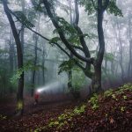 LED Lenser HF8R Core Bluetooth 1600 Lumen Rechargeable Headlamp Black 1600 Lumens - Image 8