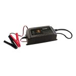 Dune 4WD 12/24V Auto Lithium Battery Charger Black 12A - Image 2
