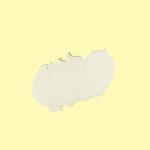 Sun Bum Mango SPF15 Lip Balm - Image 3