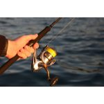 Shimano Sedona XT 12" 3pc 6-10kg 8000 Spin Combo - Image 2