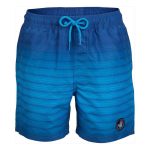 Body Glove Youth Boys Striped Swim Shorts Blue