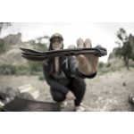 Gerber ComplEAT Tool Flat Sage Green - Image 5