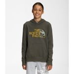 The North Face Youth Camp Fleece Pullover Hoodie New Taupe Green