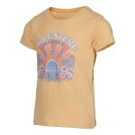 Trip In A Van Kids Adventure Tee Honey - Image 3