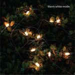 Dorcy 100 Lumens Solar String Lights Extension Multicoloured 40 Lumens - Image 3