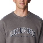 Columbia Men's Columbia Logo Fleece Crew Grey Heather - Image 6