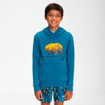The North Face Boys' Camp Fleece Pullover Hoodie Banff Blue - Image 3