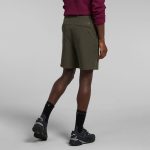 The North Face Men's Paramount Shorts Taupe Green - Image 2