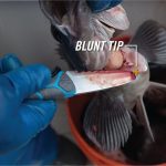 Gerber Salt RX Crossriver Combo Knife Blue - Image 4