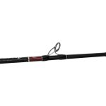 Shimano Anarchy 5'8" 2 piece PE3-5 Overhead Rod - Image 3