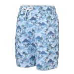 Cape Youth Boys Vintage Hawaiian Shorts Blue - Image 3