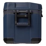 Igloo BMX Icebox 68L Black - Image 12