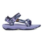 Teva Kids' Hurricane XLT 2 Sandal Waves Pastel Lilac