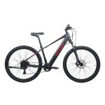 Fluid LeMans Electric Mountain Bike Black