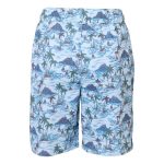 Cape Youth Boys Vintage Hawaiian Shorts Blue - Image 2
