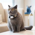 Insta360 GO 3 Action Camera 64GB White 64GB - Image 18