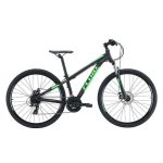 Fluid Shred Kid's Green Mountain Bike Green X Small